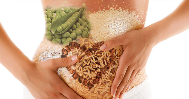 beneficios de la fibra achicoria para mejorar las funciones gastrointestinales