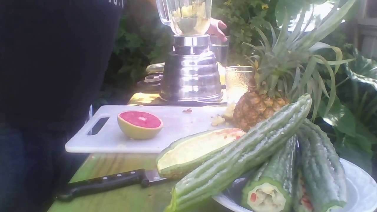 Zumo de melón amargo beneficios y cómo prepararlo