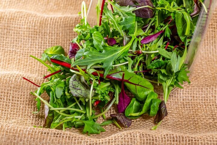 rúcula microgreen para preparar una deliciosa ensalada
