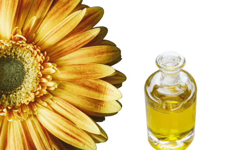 Skillnader mellan aceite de girasol och otros aceites