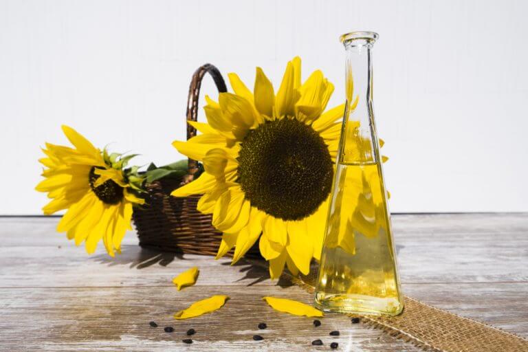 ¿Es saludable el aceite de girasol para tu dieta?