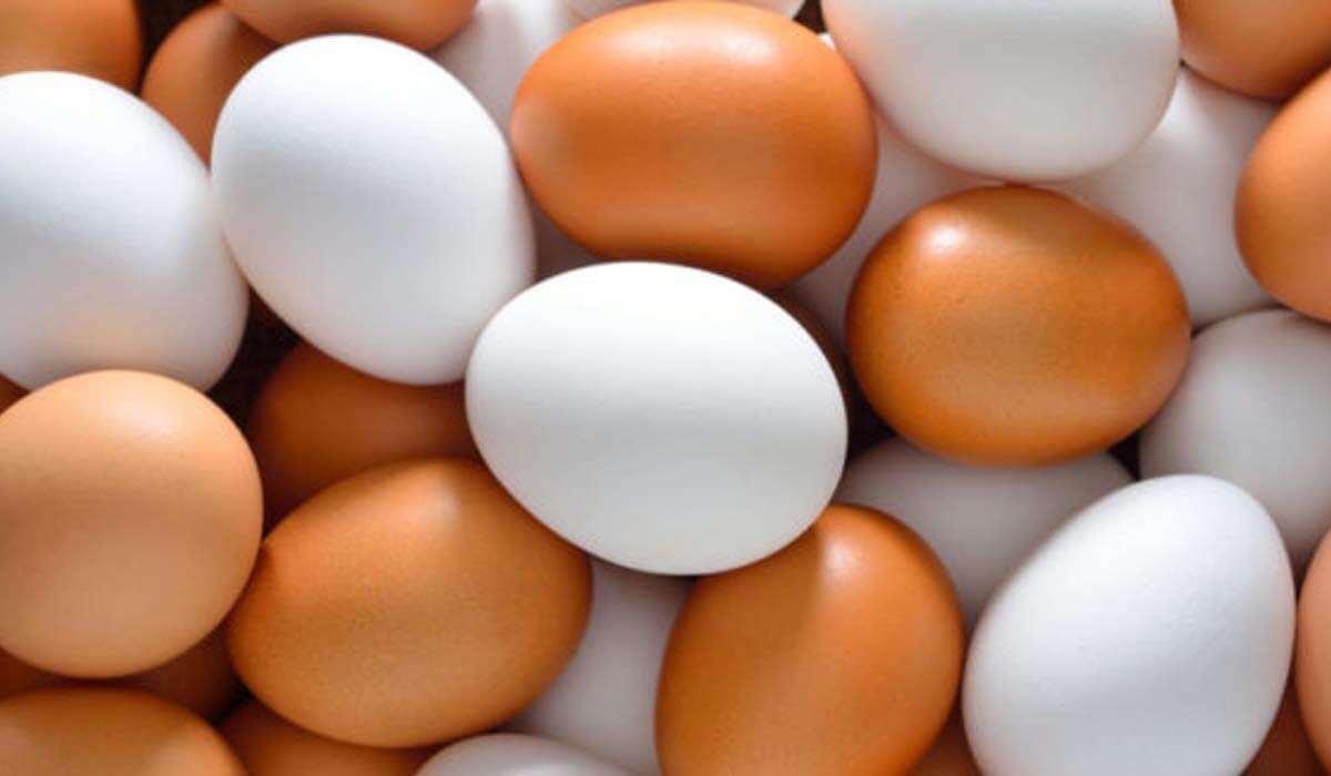 Es Posible Congelar Los Huevos<script async src=