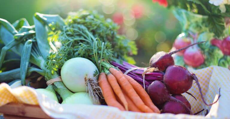 Dieta vegana y dieta basada en plantas