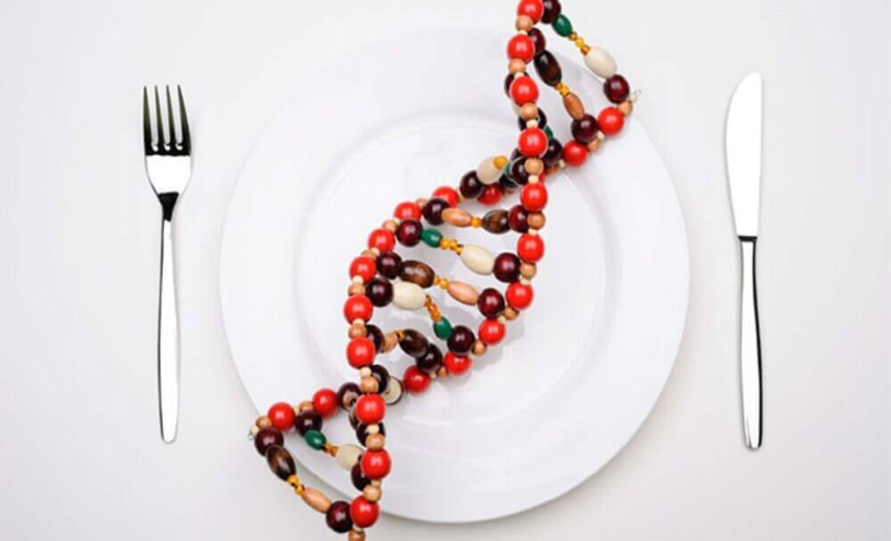 Que es la nutrigenética y su relación con los alimentos