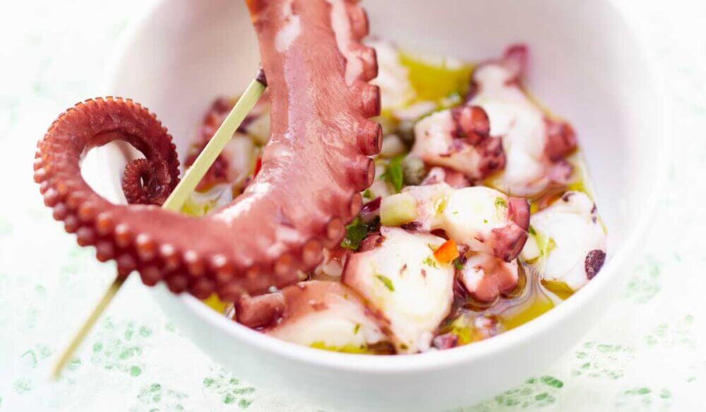 Recetas de dieta paleo altas en proteína