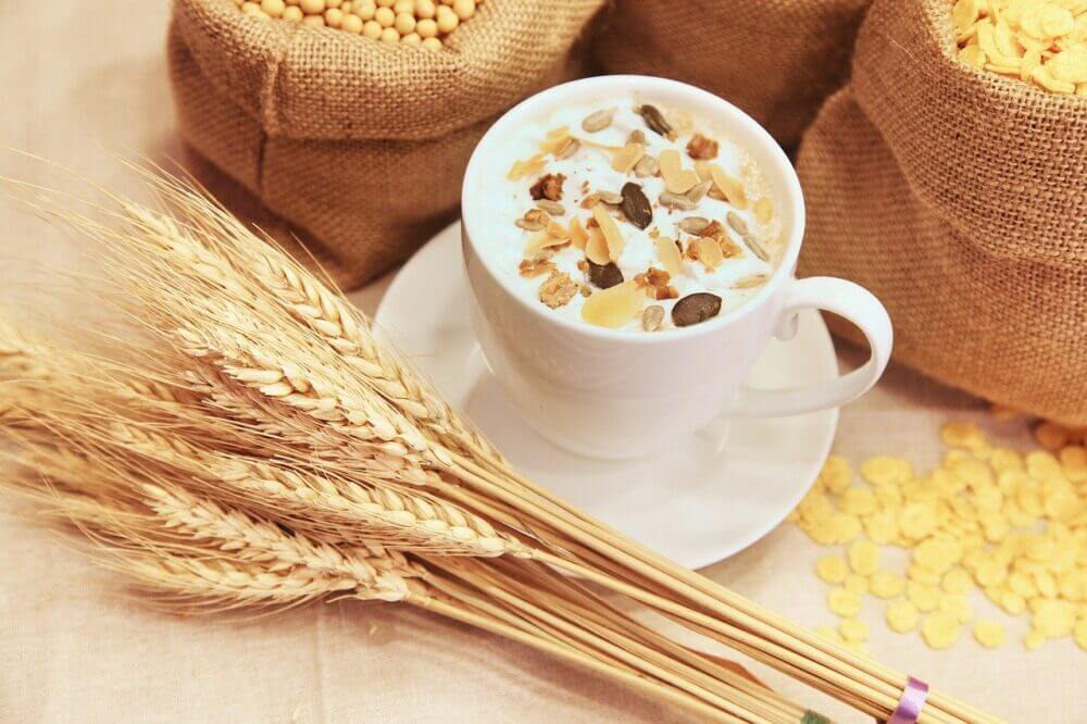 avena alimento con grasas saludables