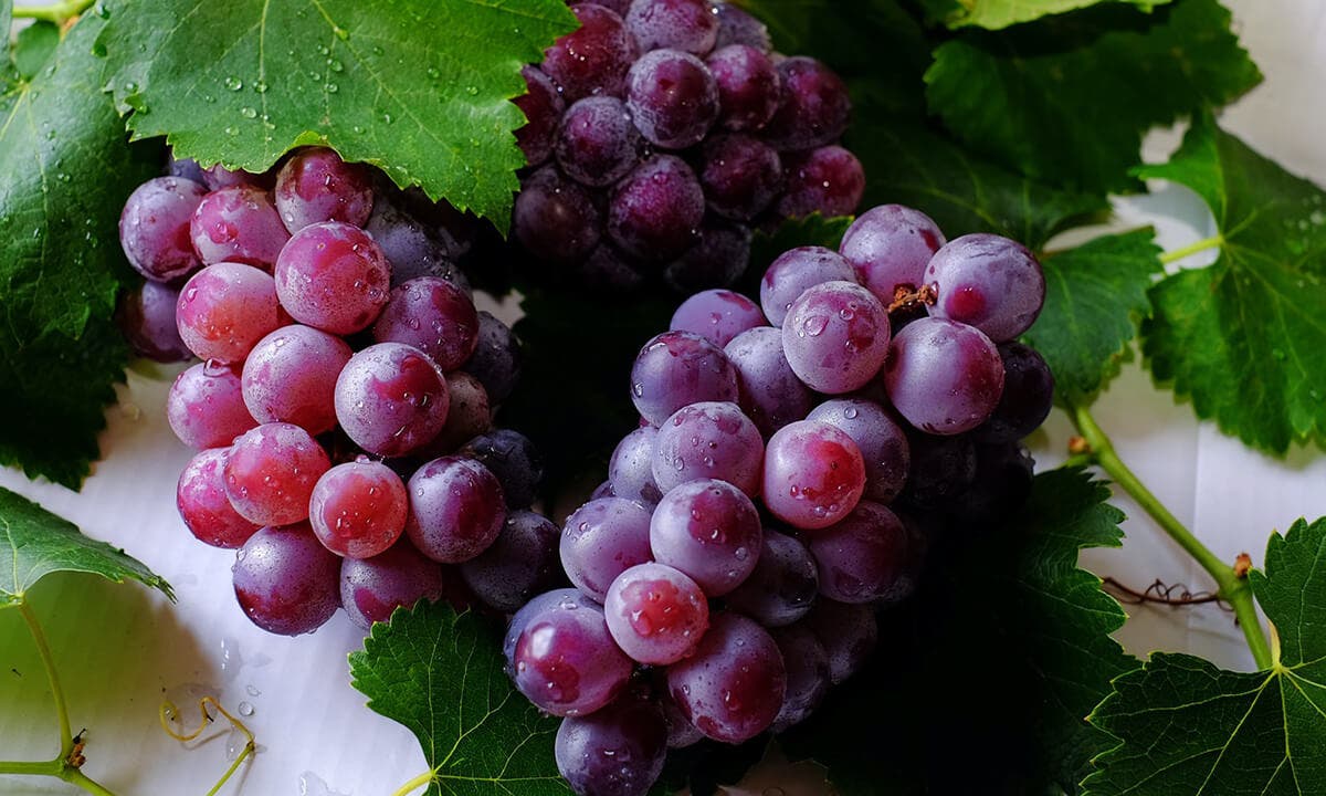 Todos los beneficios que aportan las uvas si las consumes a diario
