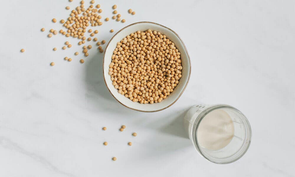 Fuente de proteínas, uno de los principales beneficios que aporta la leche de soja