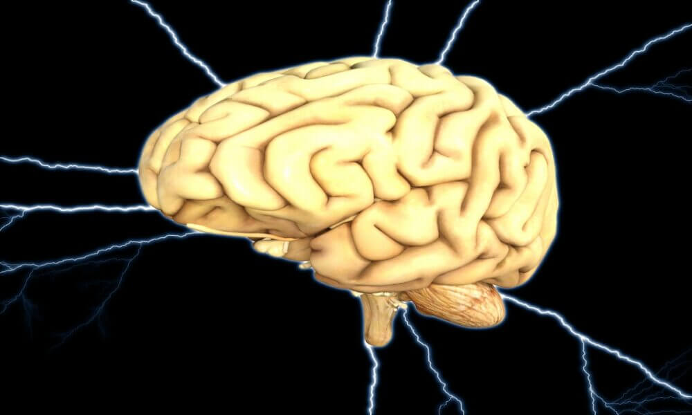 ¿Qué es la fatiga del sistema nervioso central y cómo se produce?