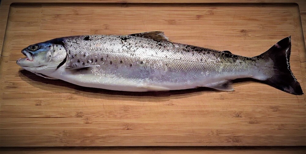 Trucha, un pescado que debes consumir