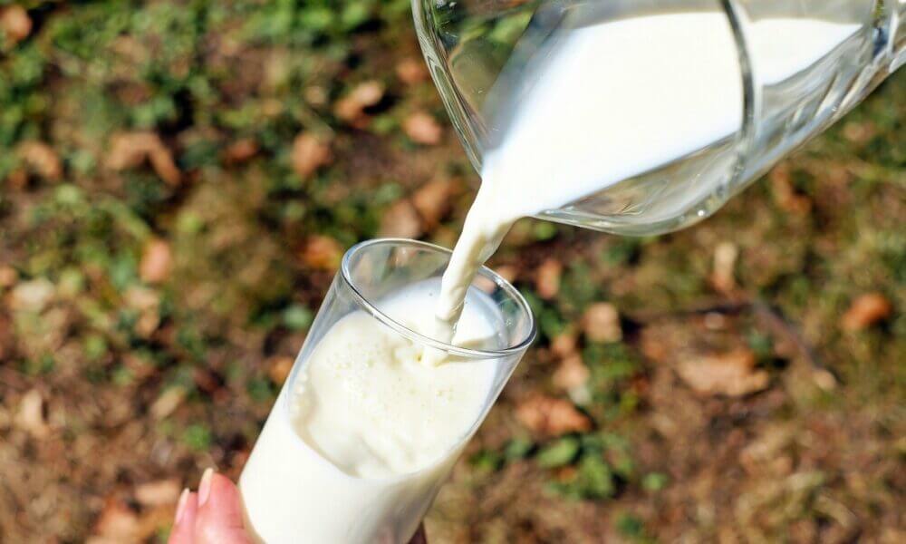 diferencias entre la leche fresca de vaca y la leche uht