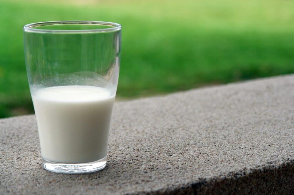 Vaso de leche cabra