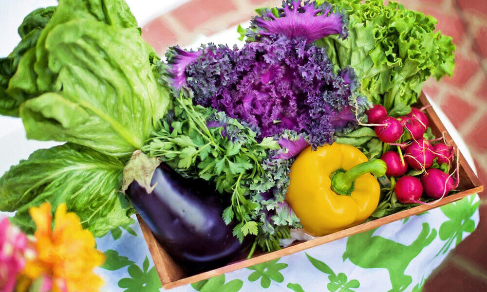 Mejoras en la salud cardiovascular gracias a las propiedades de las frutas y hortalizas crudas