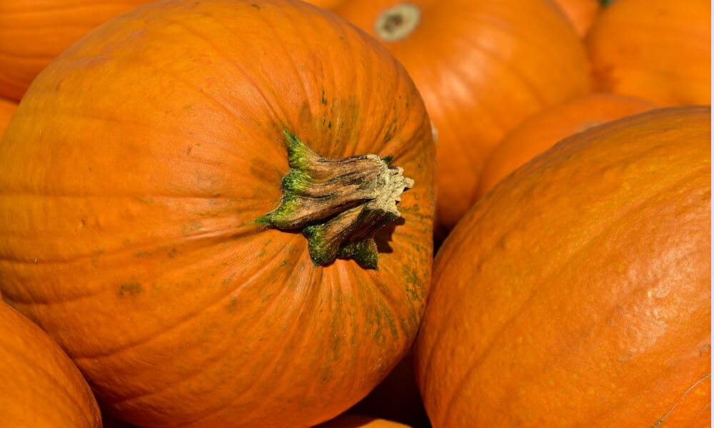 Calabaza para receta baja en carbohidratos