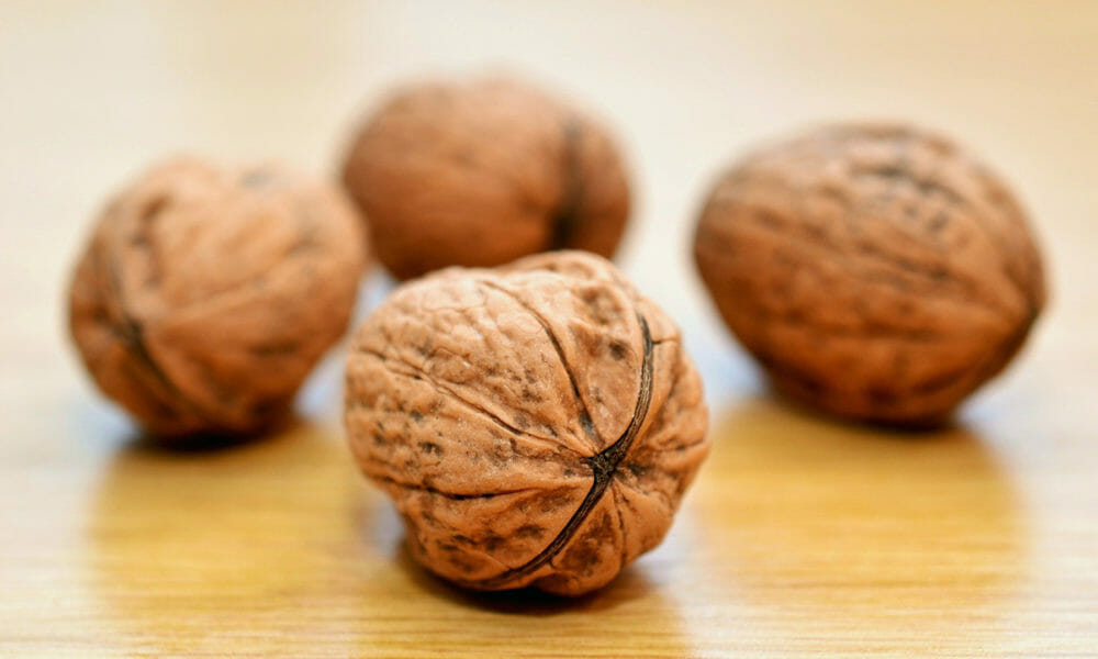 Propiedades de las nueces que ayudan a mejorar la salud y prevenir enfermedades