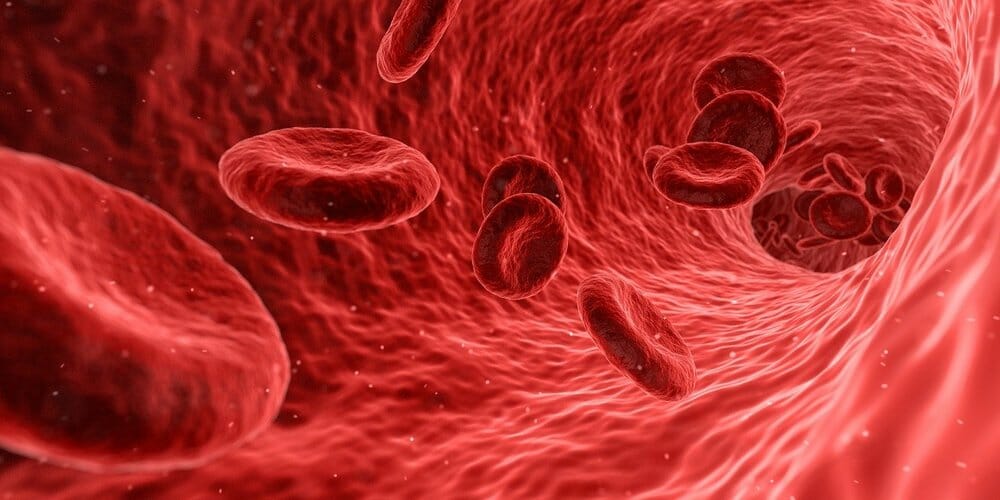 Glóbulos rojos