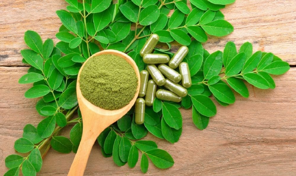 polvo y pastillas de moringa