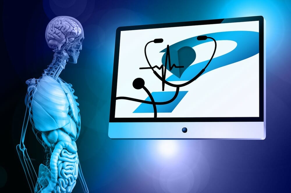 Anatomía
