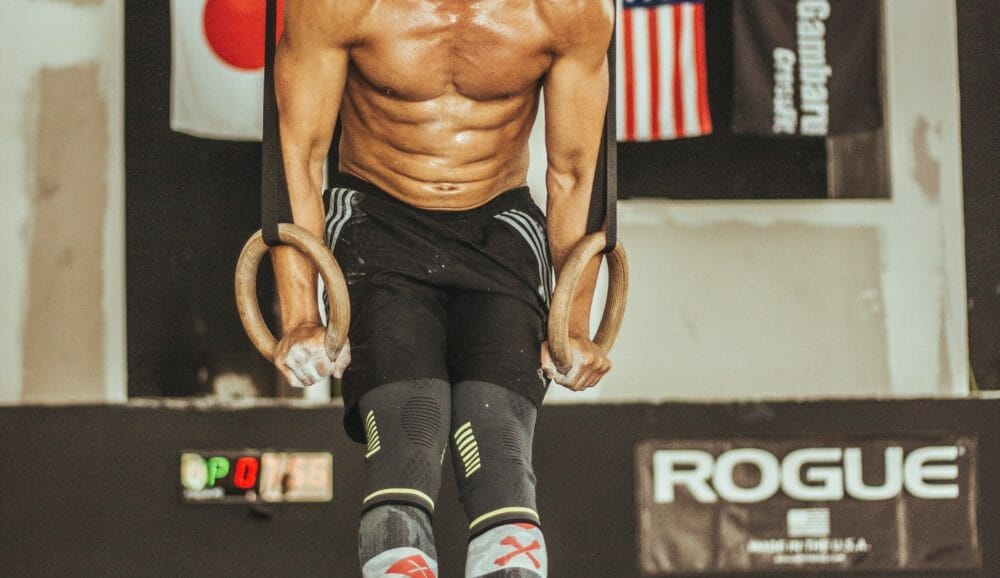 músculos del abdomen