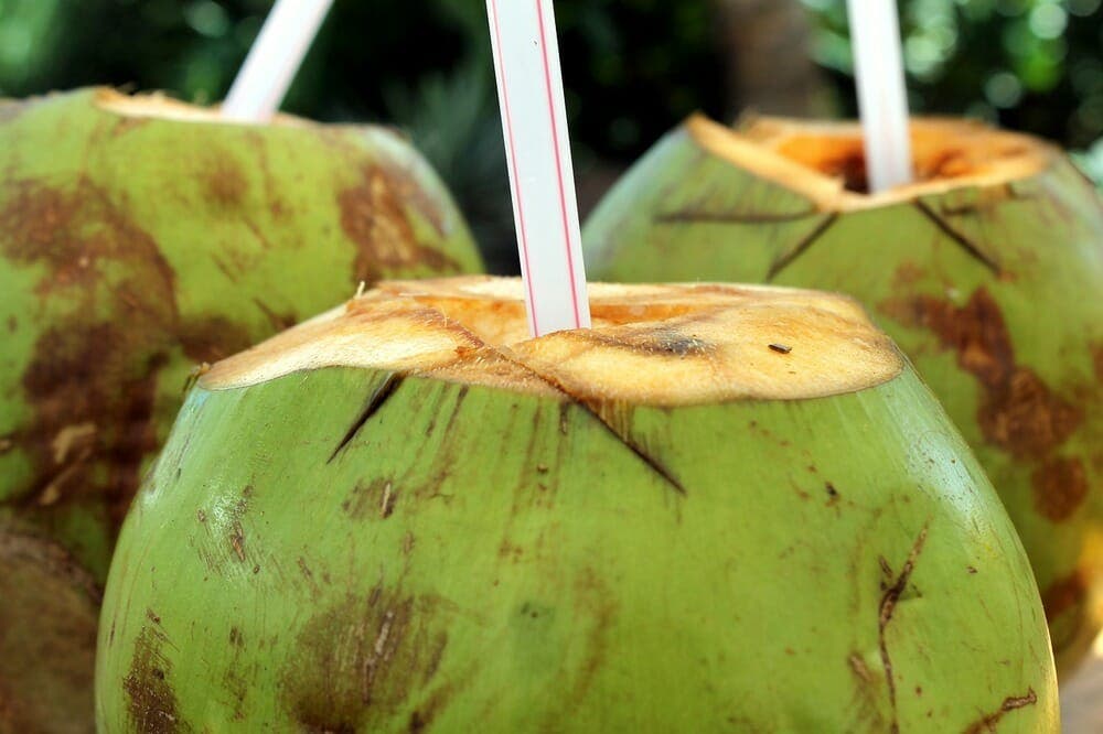 Benefícios de comer coco