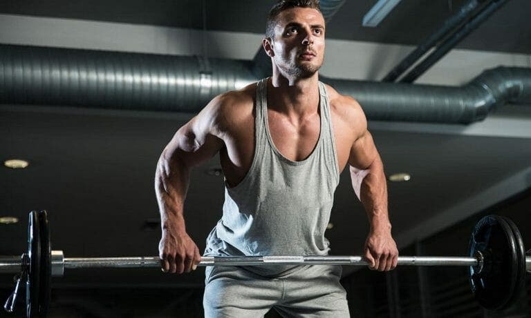 musculatura de la espalda