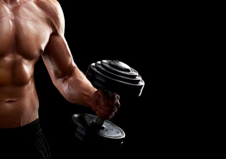 Descubre todo acerca del crecimiento muscular
