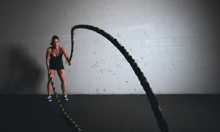 libros de gimnasio